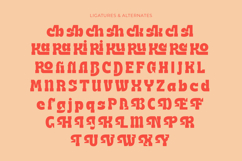 Naska Rumbe - Bold Display Font Product Image 18