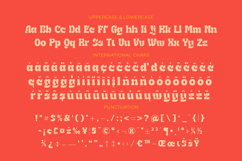 Naska Rumbe - Bold Display Font Product Image 19