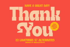 Naska Rumbe - Bold Display Font Product Image 20