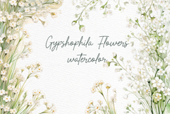 Gypsophilia Flowers Clipart Watercolor White Flowers clipart Product Image 1