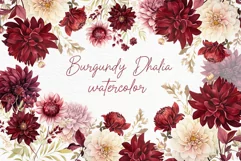 Burgundy Flowers Clipart Watercolor Burgundy Dhalia Clipart Product Image 1
