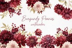 Burgundy Flowers Clipart Watercolor Burgundy Dhalia Clipart Product Image 1