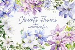Watercolor Flowers Clipart Purple Flowers Clematis Branches Product Image 1