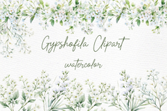 Gypsophilia Flowers Clipart Watercolor White Flowers clipart Product Image 1