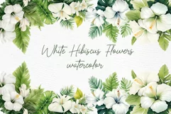 Watercolor Hibiscus clipart White Flowers clipart Tropical Product Image 1