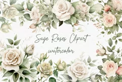 Watercolor roses clipart White Roses Clipart Wedding Roses Product Image 1