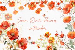 Dark Orange Flowers Clipart Watercolor flowers Water Avens Product Image 1