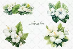 Watercolor Hibiscus clipart White Flowers clipart Tropical Product Image 2