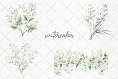 Gypsophilia Flowers Clipart Watercolor White Flowers clipart Product Image 2