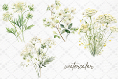 White Flowers Clipart Rustic Flowers Botanical clipart Product Image 2