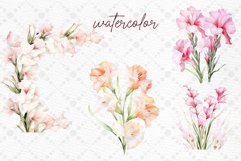 Watercolor Pink Flowers Clipart Gladiolus flowers clipart Product Image 2