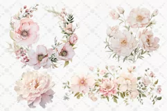 Dusty Pink Flowers Clipart Watercolor Pink Peonies Clipart Product Image 2