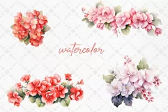 Begonia Flowers Clipart Watercolor Flowers Red Flowers Png Product Image 2