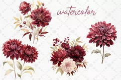 Burgundy Flowers Clipart Watercolor Burgundy Dhalia Clipart Product Image 2