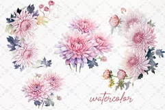 Pink Floral Clipart Pink Chrysanthemum Flowers Watercolor Product Image 2
