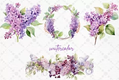 Watercolor Lilac Flowers Png Lilac Branches Purple Flowers Product Image 2