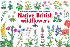 Native British wildflower watercolor Product Image 1