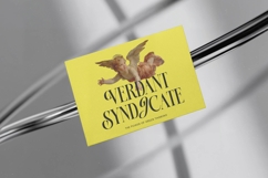 Natives Honor - Hybrid Serif Font Product Image 11
