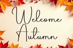 Nativity Product Image 6