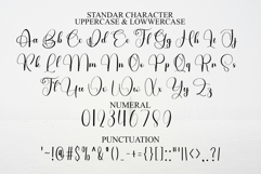 Natural Absolute Product Image 7