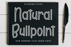 Natural Bullpoint Product Image 1