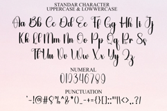 Natural Christmas Product Image 7