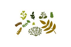 Natural Elements SVG Cut File Product Image 1