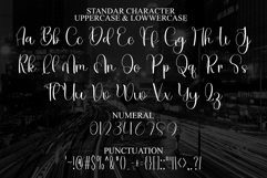 Natural Font Product Image 7