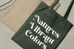 Natural Royale - Bold Serif Display Font Product Image 2