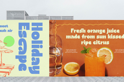 Natural Sage - Modern Display Sans Product Image 4