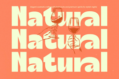 Natural Sage - Modern Display Sans Product Image 6