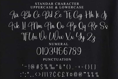 Natural Script Product Image 3