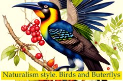 Naturalism Birds and Buterflys Product Image 5