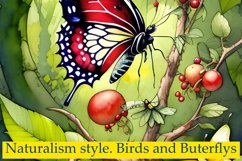 Naturalism Birds and Buterflys Product Image 2