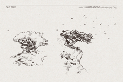 Vintage Nature Landscape Collection Product Image 7