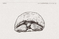 Vintage Nature Landscape Collection Product Image 12