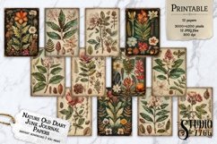 Nature Old Diary Junk Journal Papers Product Image 1