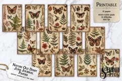 Nature Old Diary Junk Journal Papers Product Image 1