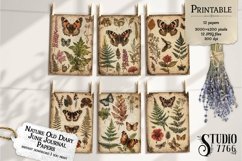 Nature Old Diary Junk Journal Papers Product Image 2