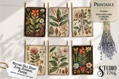 Nature Old Diary Junk Journal Papers Product Image 2