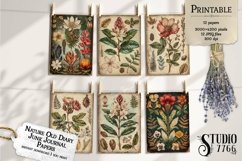 Nature Old Diary Junk Journal Papers Product Image 3