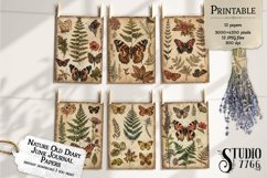 Nature Old Diary Junk Journal Papers Product Image 3