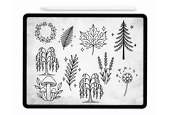 Nature Procreate Brushes - Procreate Stamps