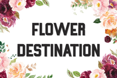 Nature Product Image 2