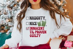 Naughty Or Nice Christmas Quotes Bundle, Holiday Humor Svg Product Image 12