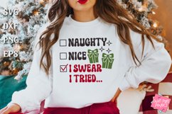 Naughty Or Nice Christmas Quotes Bundle, Holiday Humor Svg Product Image 15