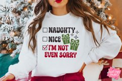 Naughty Or Nice Christmas Quotes Bundle, Holiday Humor Svg Product Image 9