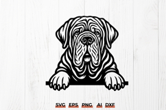 Neapolitan Mastiff Peeking Dog SVG | Mastiff Head Cut File Product Image 1