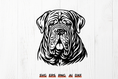 Neapolitan Mastiff Head SVG | Mastino Napoletano Portrait Product Image 1
