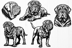 Neapolitan Mastiff SVG PNG Bundle | 15 Dog Breed Designs Product Image 4